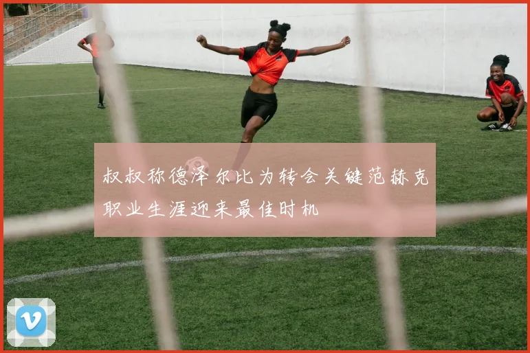 叔叔称德泽尔比为转会关键范赫克职业生涯迎来最佳时机